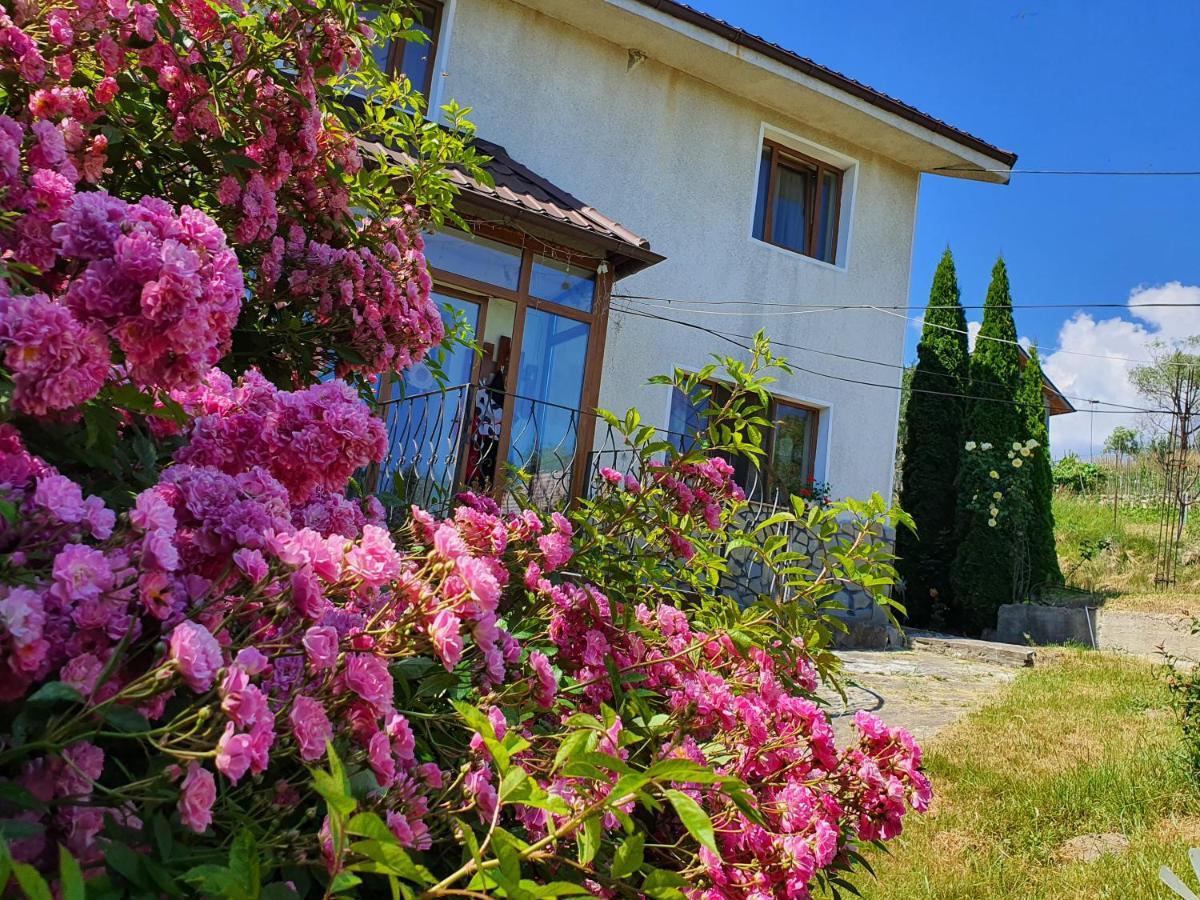 Casa Carpati Apartment Zarnesti Exterior photo